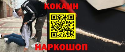 шишки Кандалакша