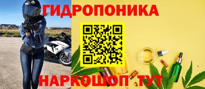 шишки Кандалакша