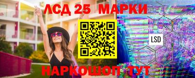 шишки Кандалакша