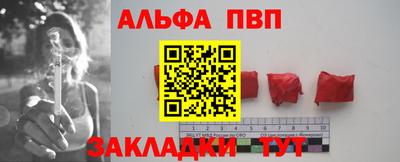 шишки Кандалакша