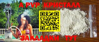 шишки Кандалакша