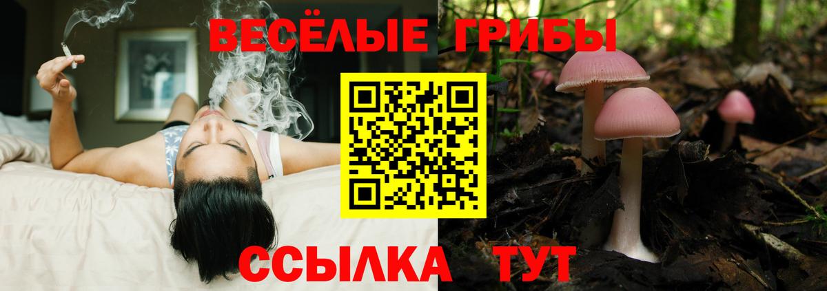 Псилоцибиновые грибы GOLDEN TEACHER Жуковский